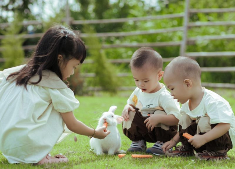 성찰가이드 규격 (2).png