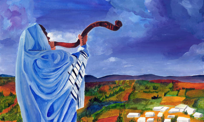 웹진 규격 (11).png