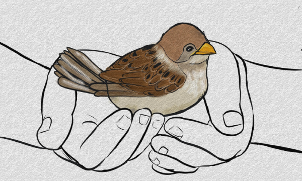 웹진 규격 (15).png