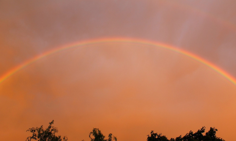 웹진 규격 (15).png