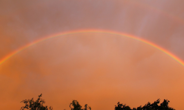 웹진 규격 (15).png