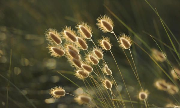 웹진 규격 (15).png