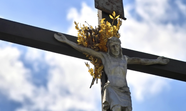 웹진 규격 (18).png